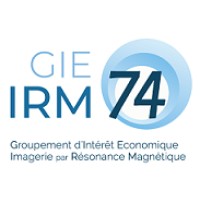 GIE IRM74 logo - Similar company to All'Restore