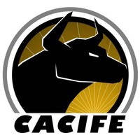 Centro Acadêmico Integrado Da Faculdade De Economia Ibmec