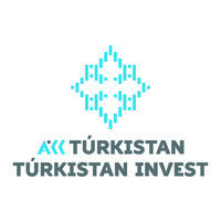 TURKISTAN INVEST logo - Similar company to Kendala