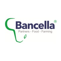 Bancella logo - Similar company to Accumont