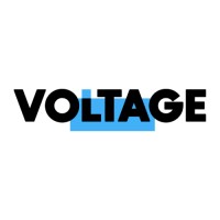 VOLTAGE GROUP - EUROPE logo - Similar company to Voltage Group