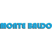 Monte Baldo SRL logo - Similar company to Lpx Servicios Profesionales