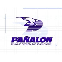 Grupo Pañalón logo - Similar company to Parcisa S.L.U.