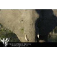 Transfrontiers Wildlife Walking Safaris