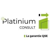 Platinium Consult logo - Similar company to Platinum Global Talent Solutions