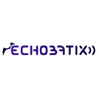 Echobatix logo - Similar company to Asset Based Consulting