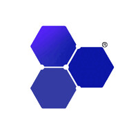 IST Netgroup logo - Similar company to Mrbyte