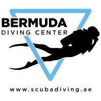 Bermuda Diving Center logo - Similar company to Borderless Security