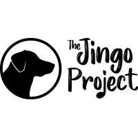The Jingo Project