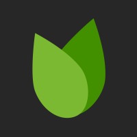 BadCredit.org logo - Similar company to Direct Focus