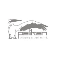 Pelikan Denizcilik logo - Similar company to Dcd Energy, Marine And Technology