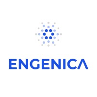 Engenica logo - Similar company to Three Peaks