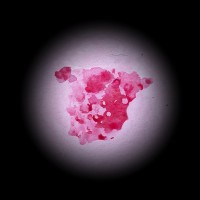 N The Club logo - Similar company to Muroexe