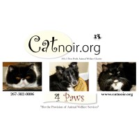 Catnoir.org logo - Similar company to Itsperfect | Fashion Is In Our <Code>