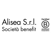 Alisea Recycled & Reused Objects Design logo - Similar company to Alisea