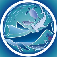 MotherOceanBlue logo - Similar company to Bite-Back Shark & Marine Conservation