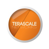 Terascale Networks logo - Similar company to Terrascale