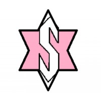 SEC Web Design Agency logo - Similar company to Bhyte