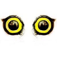 Eye On Privacy