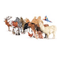 A-Z Animals