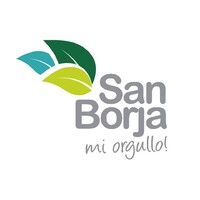 Municipalidad de San Borja logo - Similar company to Dr Link
