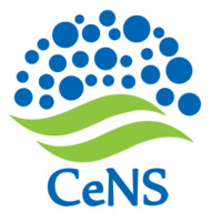 Centre for Nano and Soft Matter Sciences - Official logo - Similar company to Nano Help