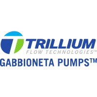 Weir Gabbioneta s.r.l. logo - Similar company to Gabbioneta