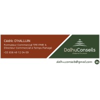 DALHU CONSEILS logo - Similar company to Jlc - Joel Lefebvre Conseil
