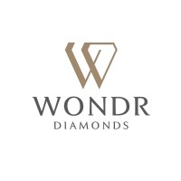 Wondr Diamonds logo - Similar company to Viswa & Devji Diamonds