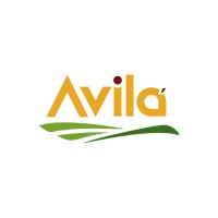 Avilah Group logo - Similar company to Cloud Dev Teams Pvt Ltd