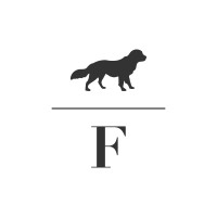 Fillun logo - Similar company to Practice For Eqe