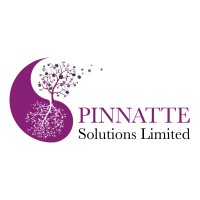 Pinnatte Solutions Ltd logo - Similar company to Teldisco Inc.