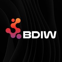 BDIW logo - Similar company to Aybben