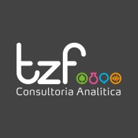 TZF Consultoria Analitica logo - Similar company to Vezor Technology
