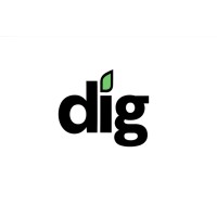 Dispensary Insight Group logo - Similar company to Pamplona Running
