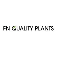 FN Quality Plants B.V. logo - Similar company to Nvam - Nederlandse Vereniging Van Anesthesie Medewerkers