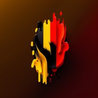 Belgian Streamers Community vzw logo - Similar company to Digital Amplifyr
