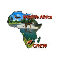 Wildlife of Africa Conservation Initiative logo - Similar company to Climeactions