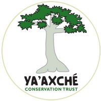 Ya’axché Conservation Trust logo - Similar company to Sicily Environment Fund