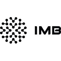 IMB - Instituti i Modelimeve në Biznes logo - Similar company to Irisoft Education