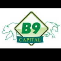 Benign Capital logo - Similar company to Bingeism Sdgs
