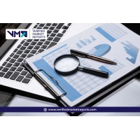 Insight Data Vista logo - Similar company to Protrend Research