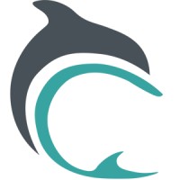 Dolphin Financial Group logo - Similar company to The Spin Chicks