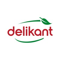 Delikant logo - Similar company to Sager Group