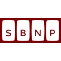 SBNP Consulting logo - Similar company to Agfm