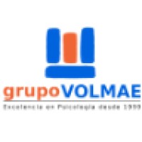 grupoVOLMAE logo - Similar company to Dizalsa Sl