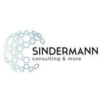 Sindermann Consulting logo - Similar company to Devx