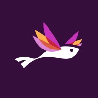 Feldera logo - Similar company to Airfold