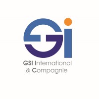 GSI International et Compagnie. logo - Similar company to Tfb Cosmetics