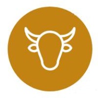 Anfaal International logo - Similar company to Brilliant Jelly Group Ltd.
